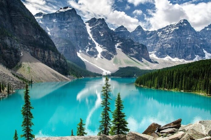 Wanderlust 101: A Beginner's Guide to Traveling the World At Article Reviews