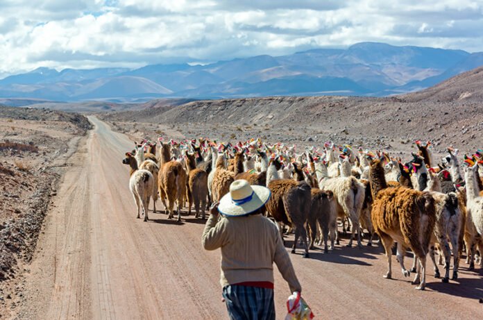 Traveling with Purpose: Exploring the World with a Sense of Adventure at article-reviews